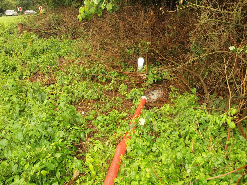 Unwetter Koeln Porz Einsatz FF Koeln P083.JPG